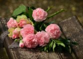 blå blommor