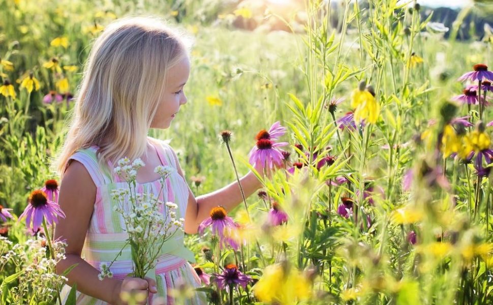 giftiga blommor